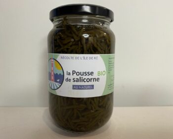 salicorne au naturel terre saline