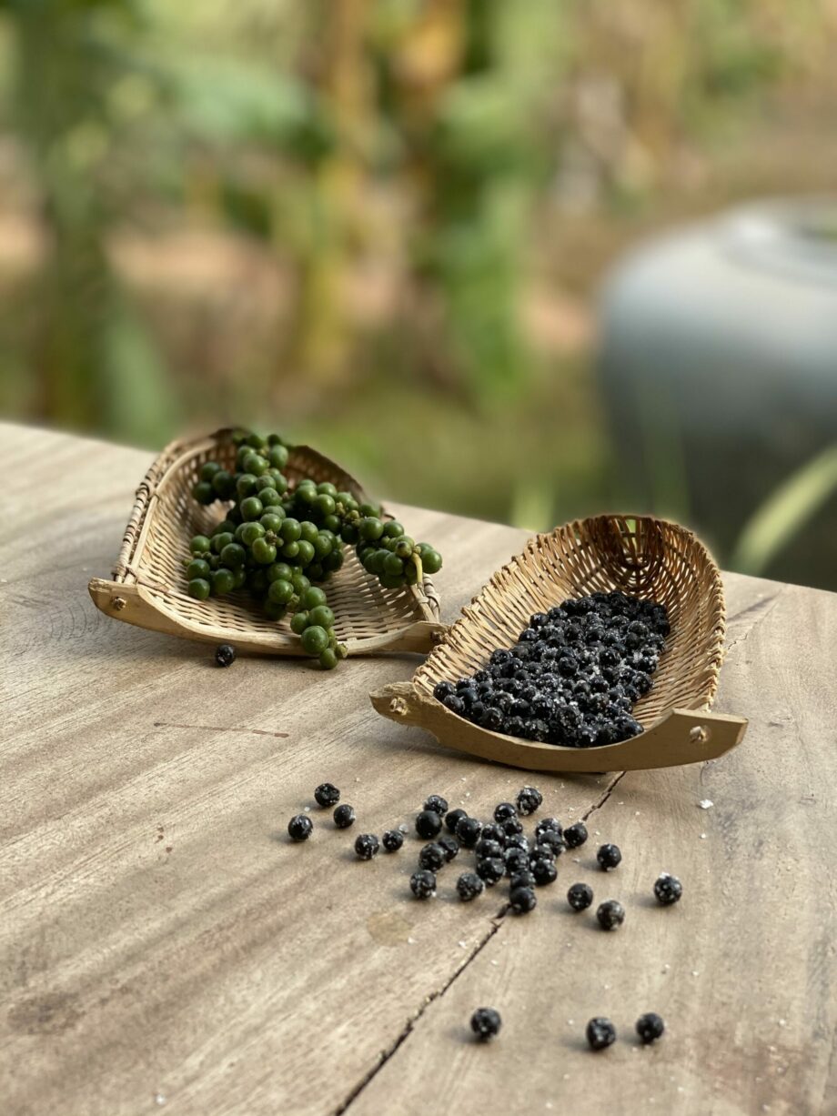 Poivre de Kampot frais au sel IGP